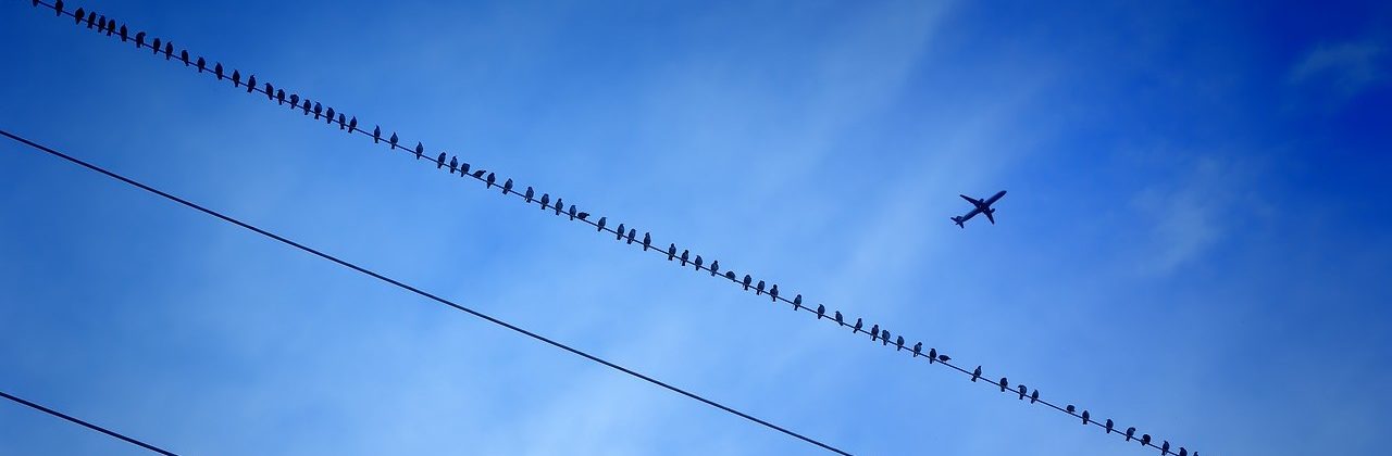 Déclaration de Toulouse : un essai à transformer